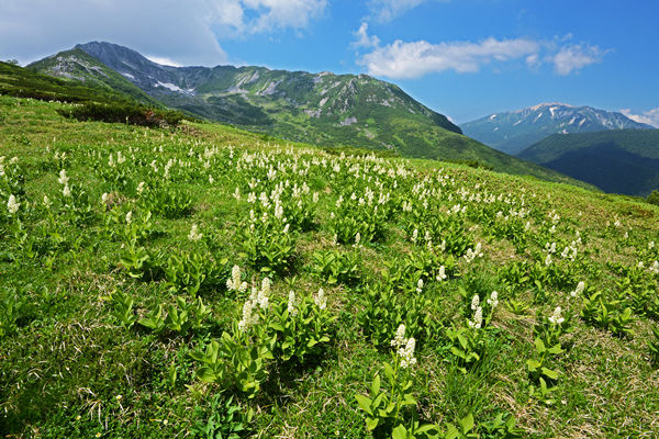 岡山県百名山　登山　遺跡　自然　物語　福山　金山　鷲羽山　蒜山　大山　絶版 岡山県百名山 登山 遺跡 自然 物語 福山 金山 鷲羽山 蒜山 大山 絶版